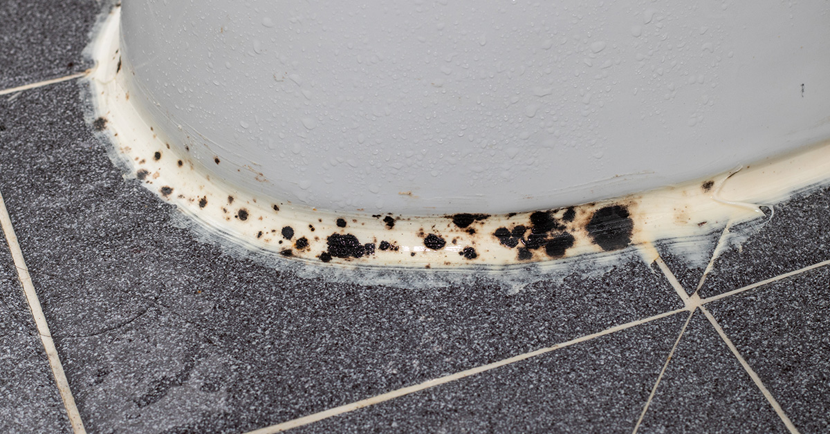 Don’t Let Mold Take Hold — Call MARBLELIFE - Post