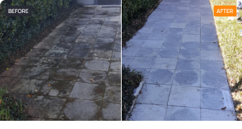 Patio 7 Frame 1000003054 46