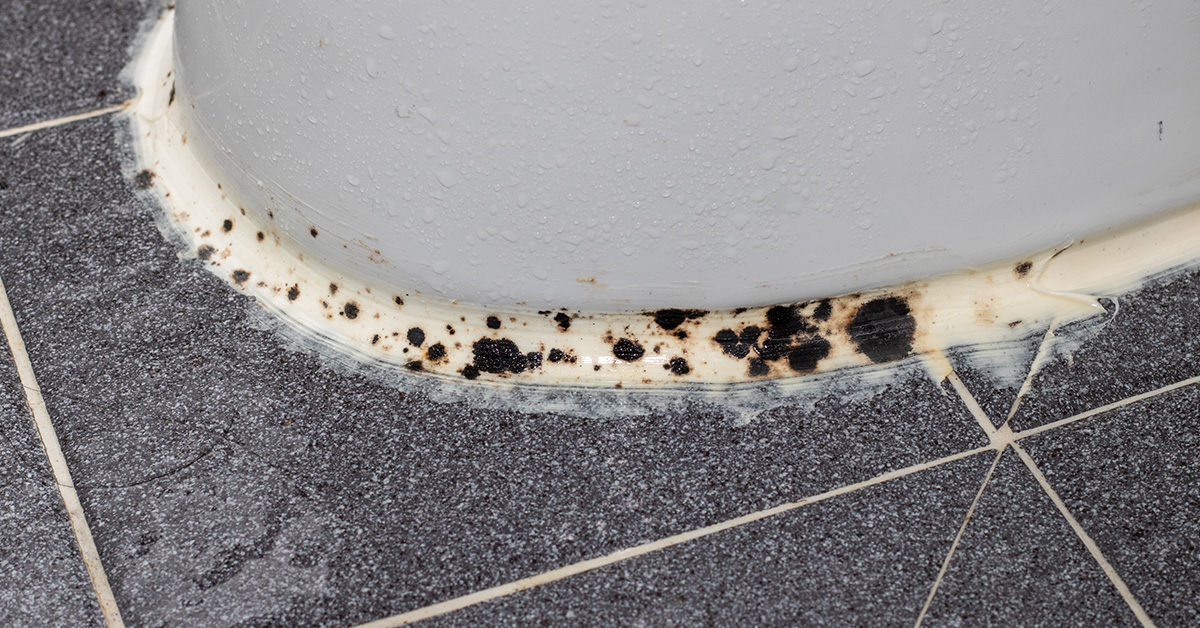 Don’t Let Mold Take Hold — Call MARBLELIFE