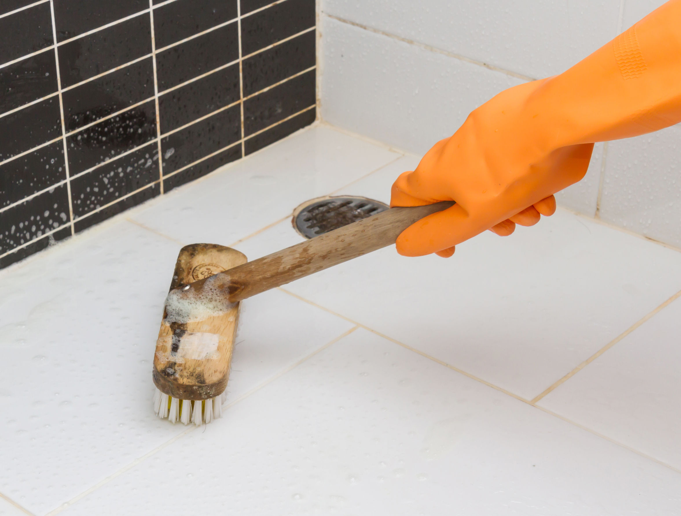 Truth Will Grout: Common Tile and Grout Myths